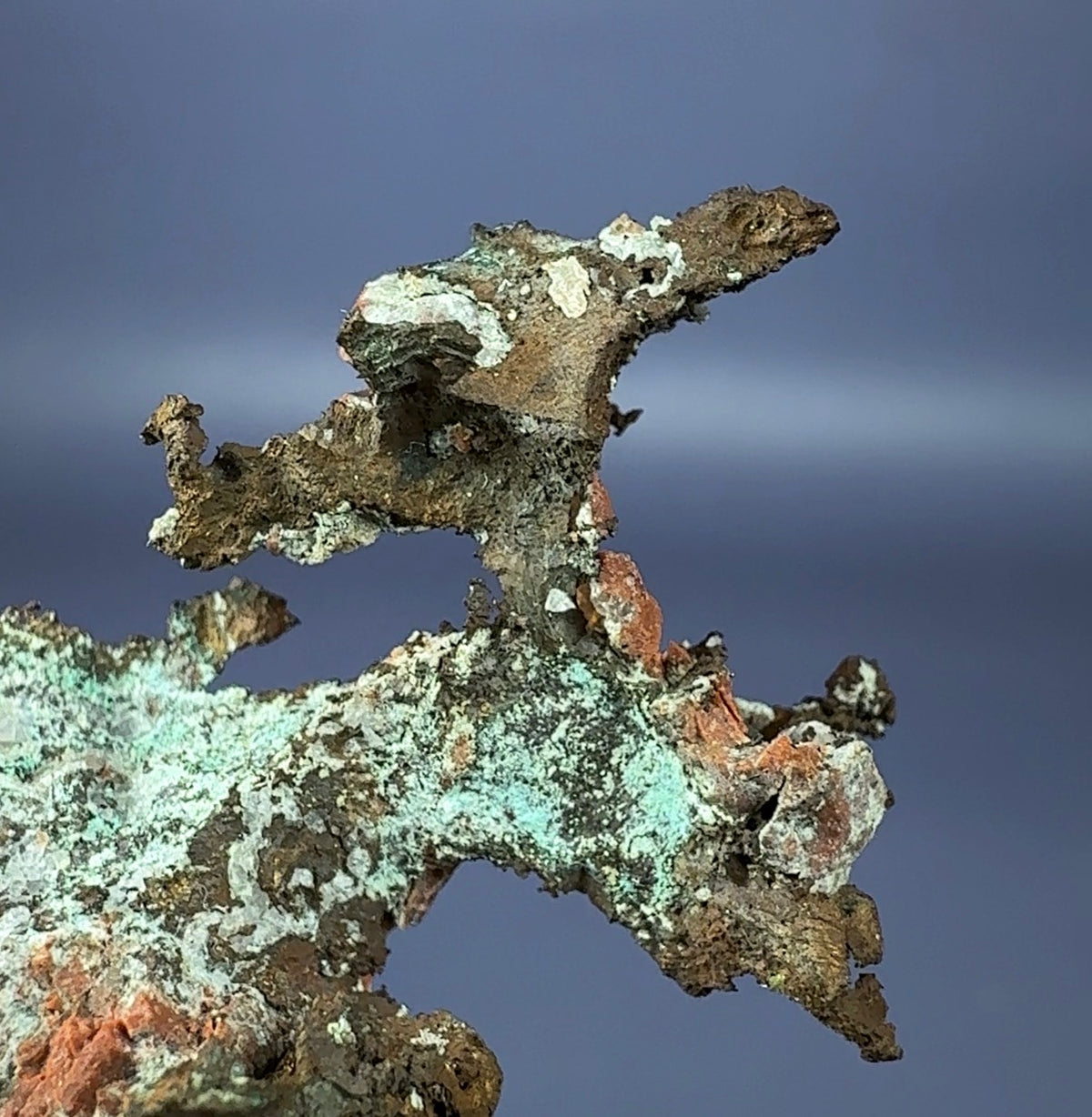 Auction Win: Copper (arborescent branching) ex. Larry Cull Collection
