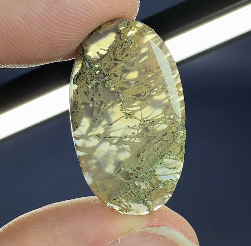 Auction Win: Moss Agate Cabochon