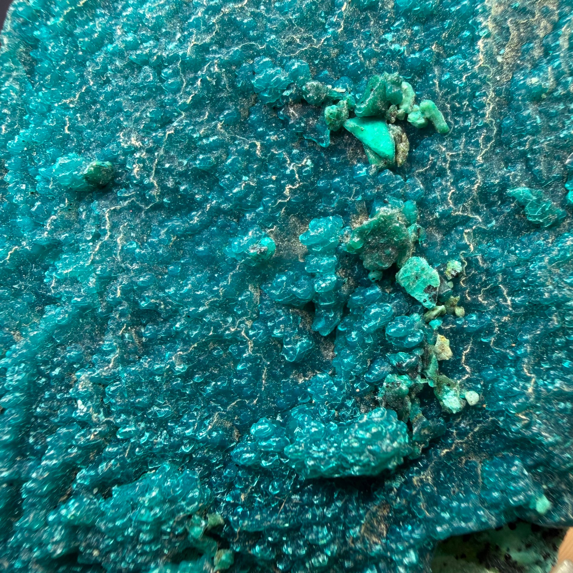 Auction Win: Chrysocolla after Malachite (2022 Find)