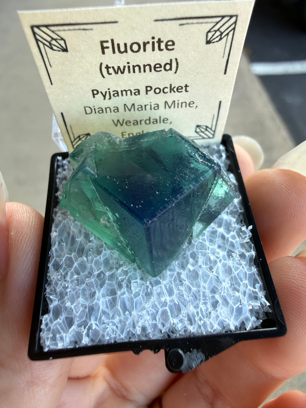 Auction Win: Pyjama Pocket Fluorite (Twinned)