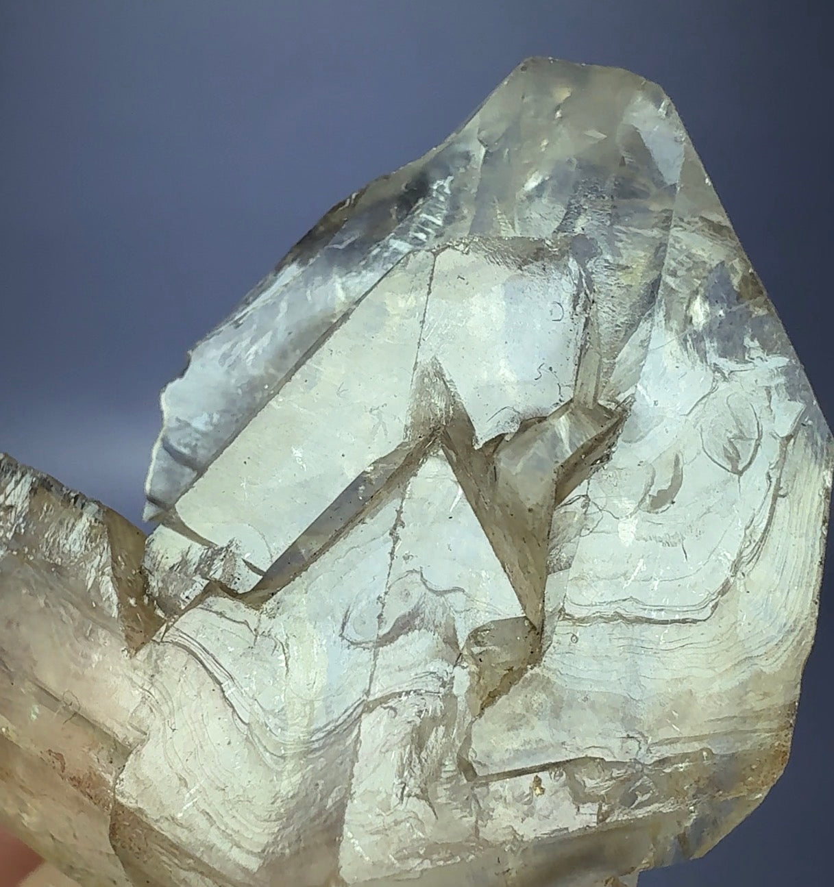 Auction Win: Quartz var. Smoky Quartz