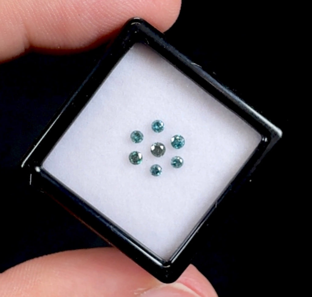 Auction Win: Blue Diamond Set .26cttw