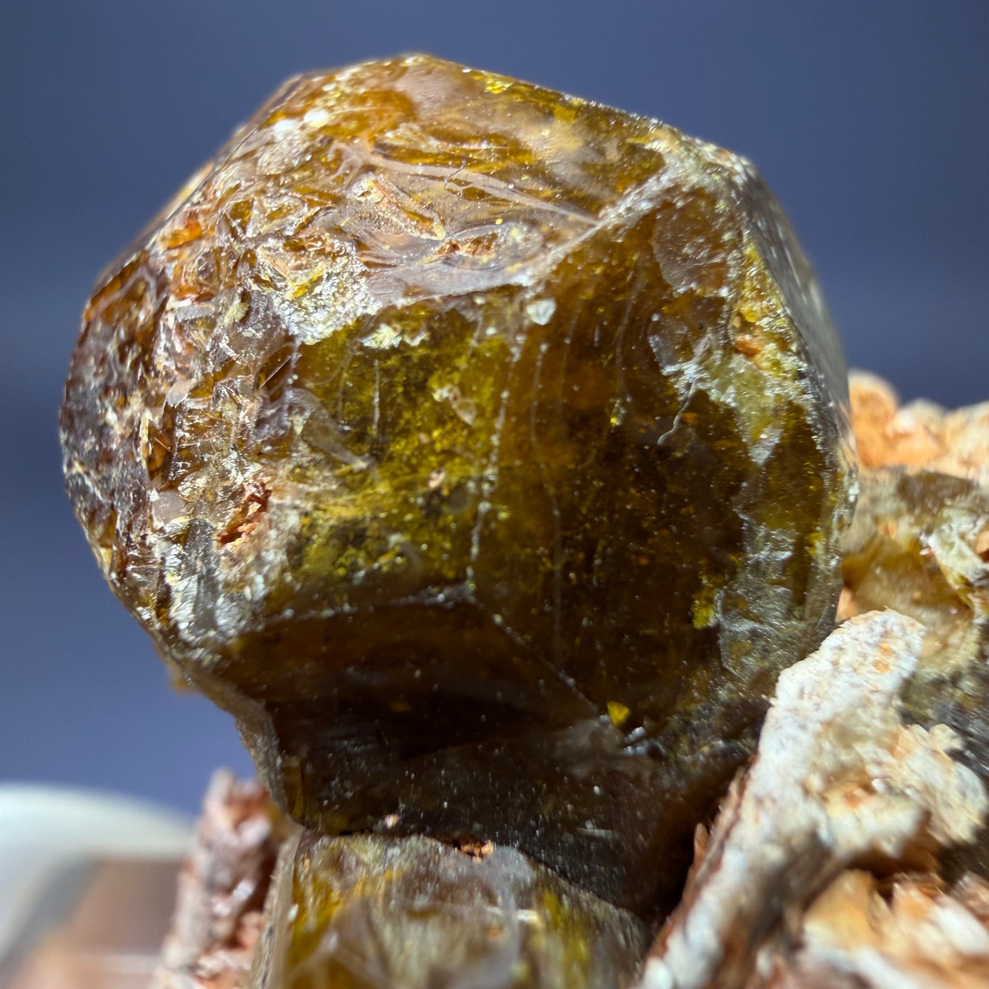 Auction Win: Grossular with Muscovite