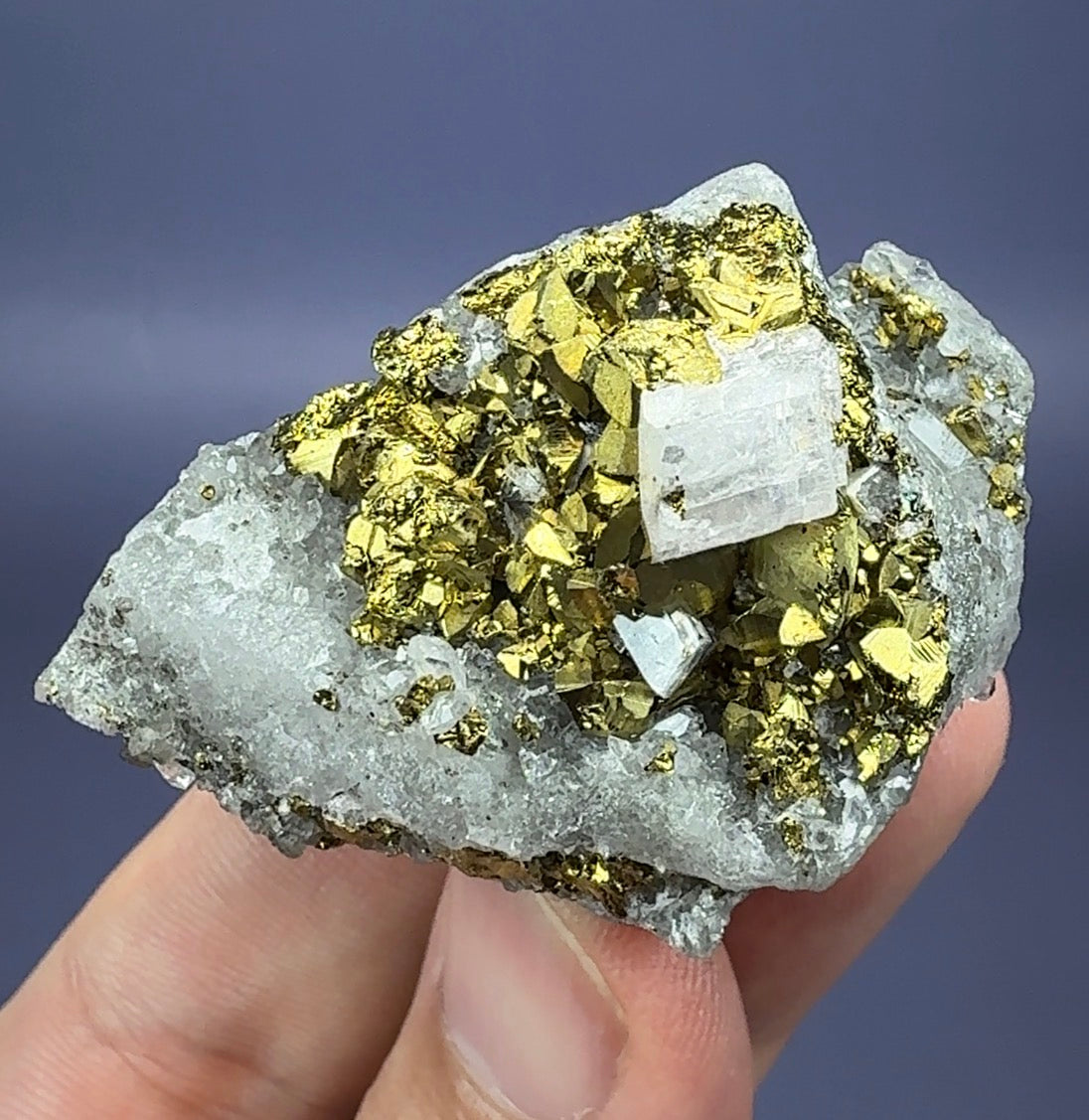 Auction Win: Chalcopyrite and Dolomite with Quartz