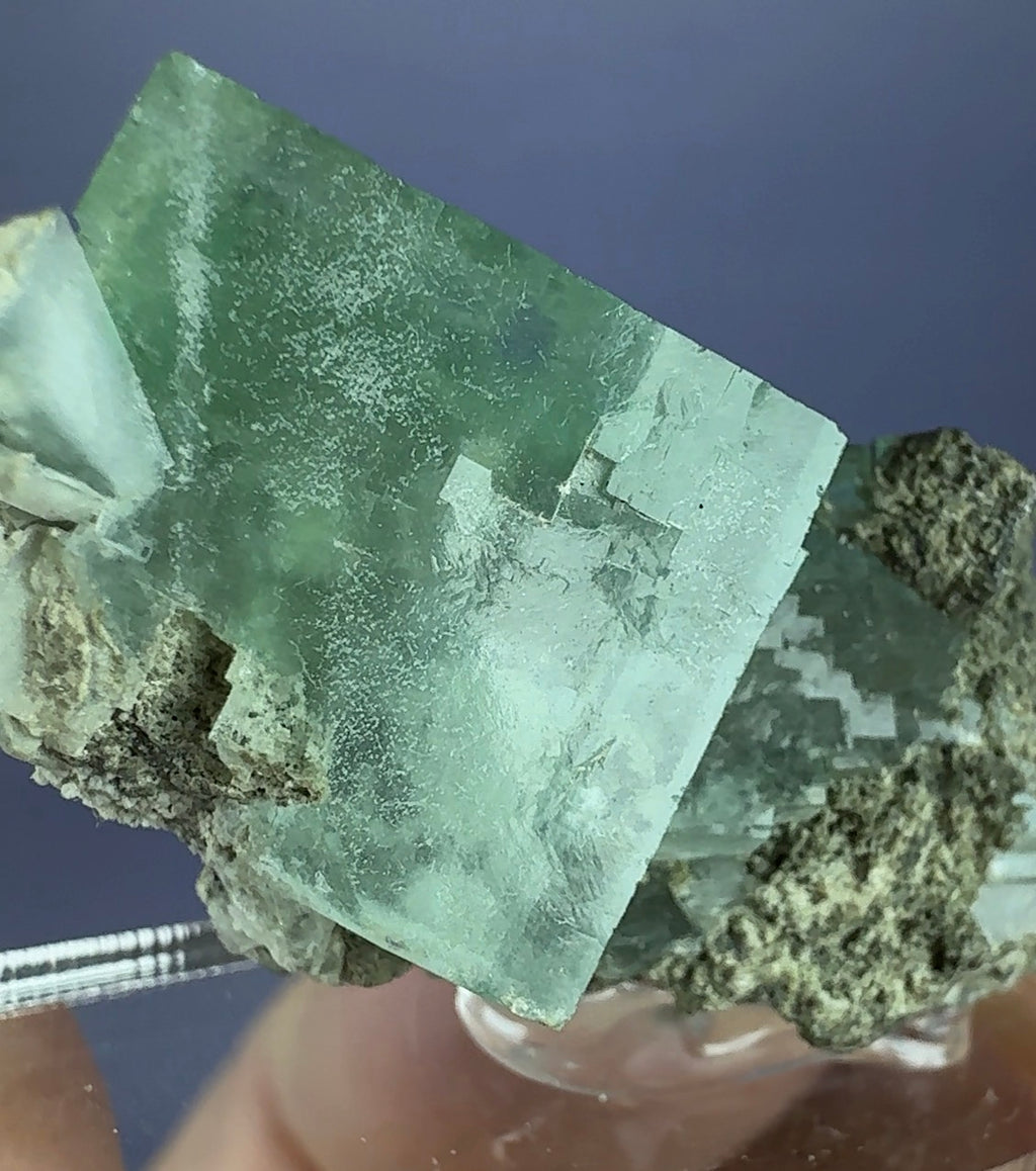 Auction Win: Fluorite (zoned)