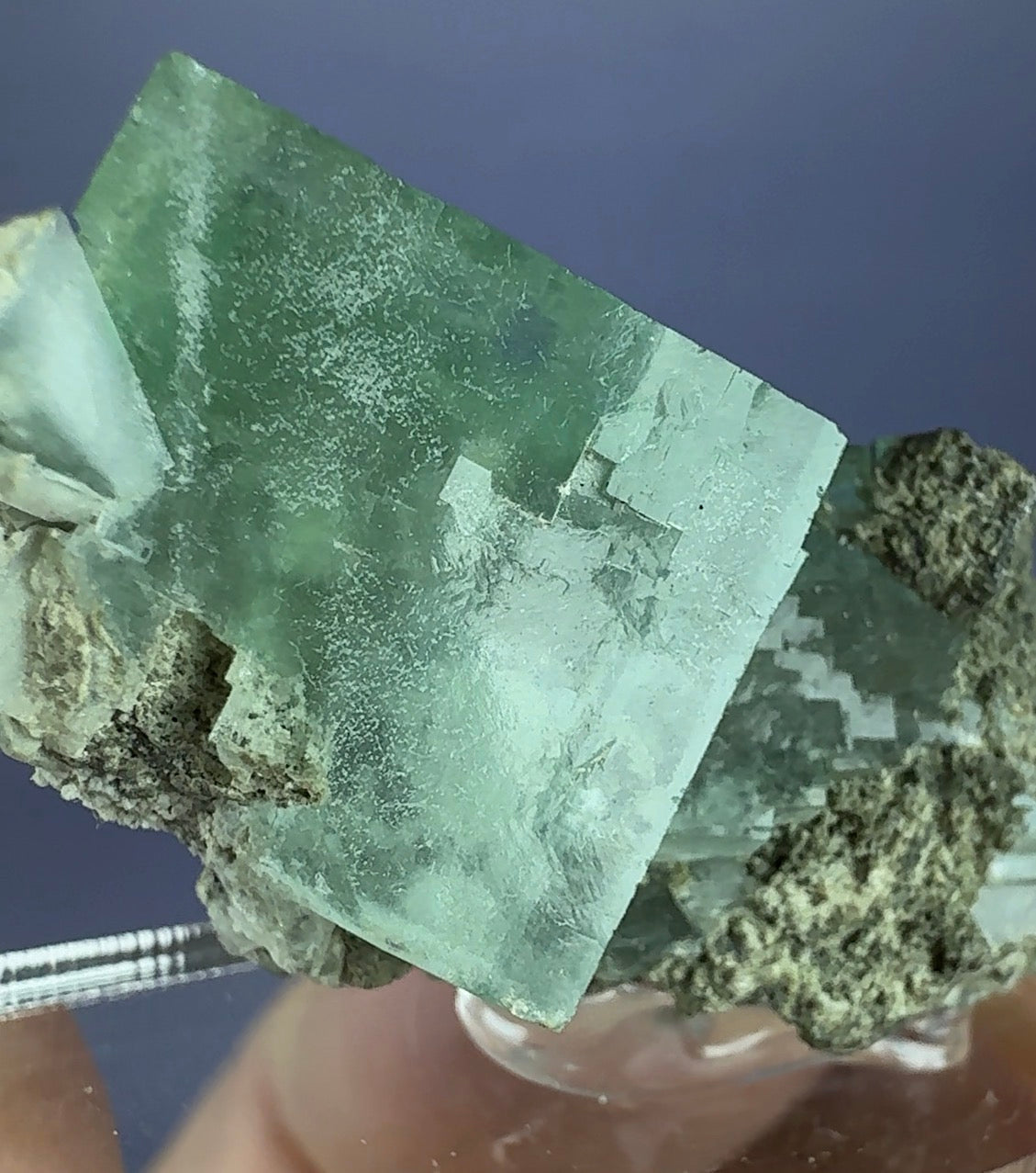 Auction Win: Fluorite (zoned)