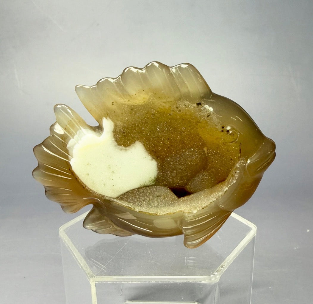 Auction Win: Druzy Agate Fish Carving