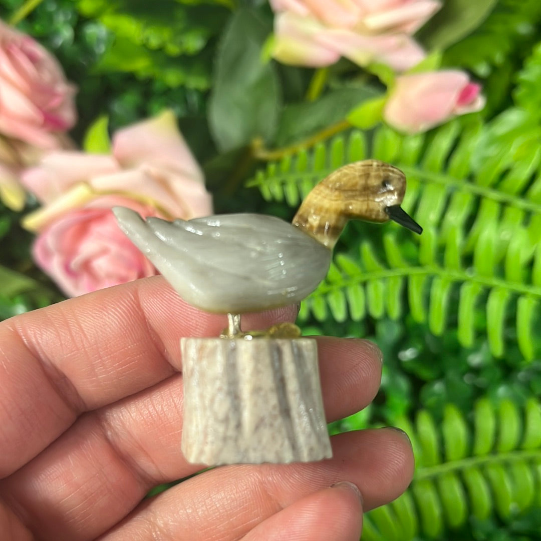 Bird Carving