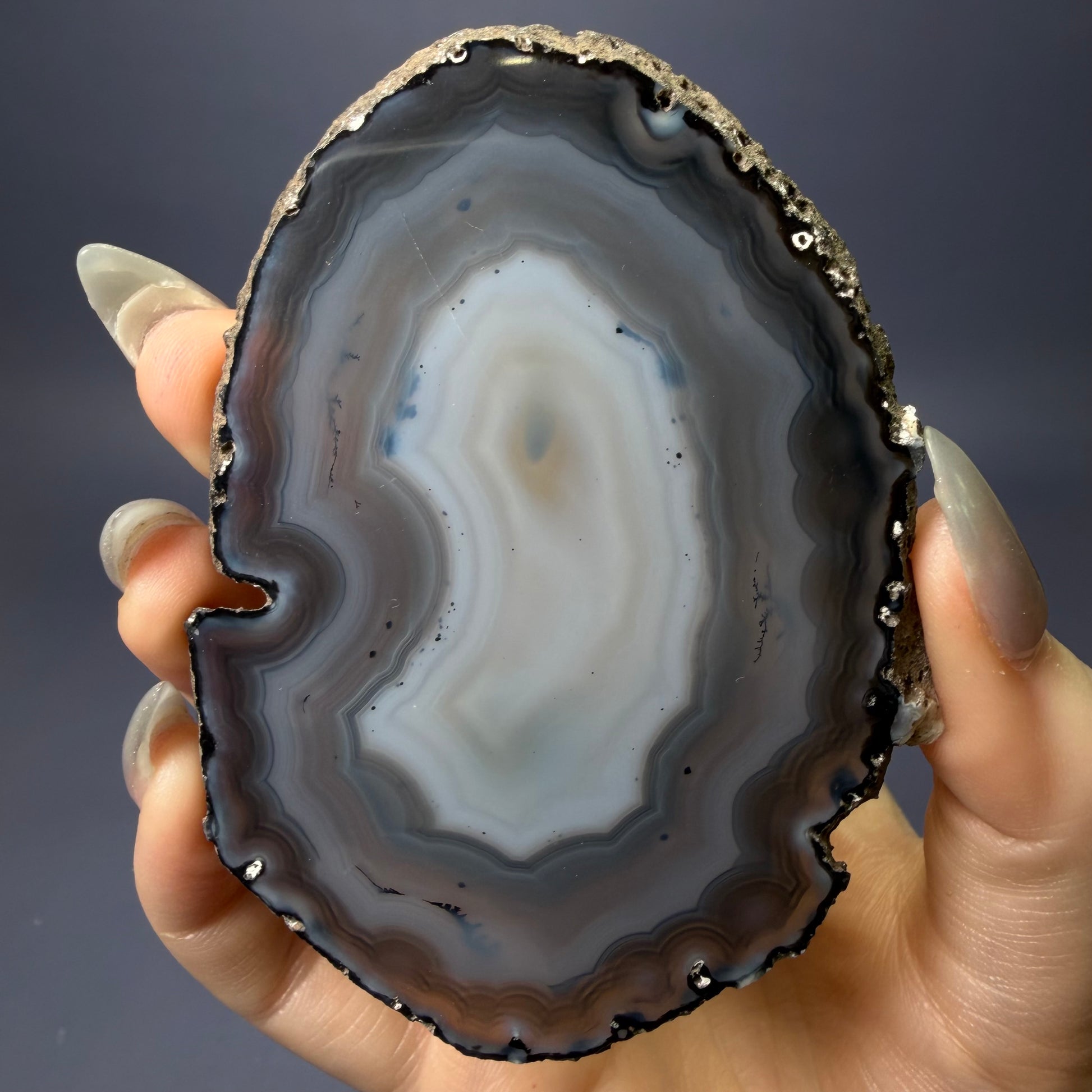 Auction Win: Dendritic Agate Slab