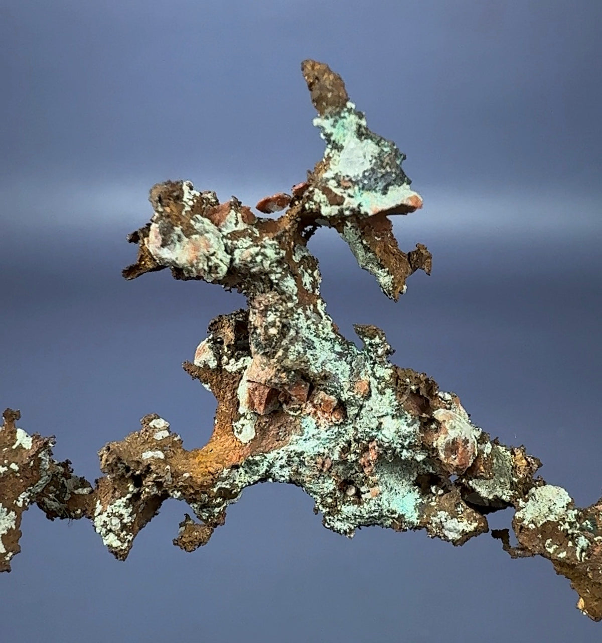 Auction Win: Copper (arborescent branching) ex. Larry Cull Collection