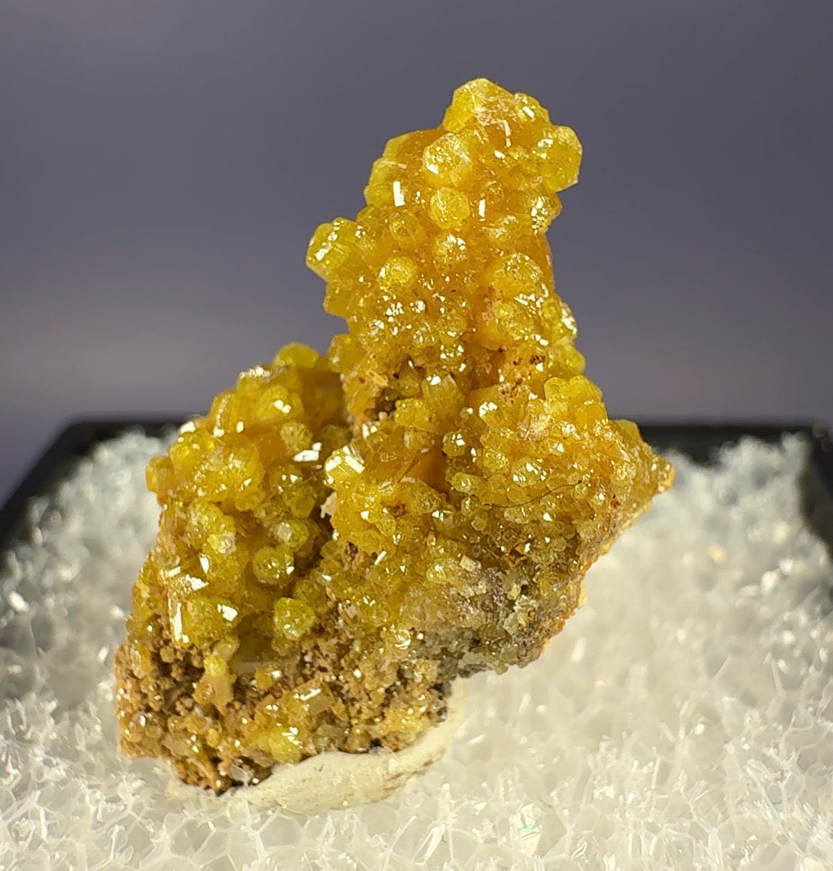 Auction Win: Pyromorphite (old American classic)