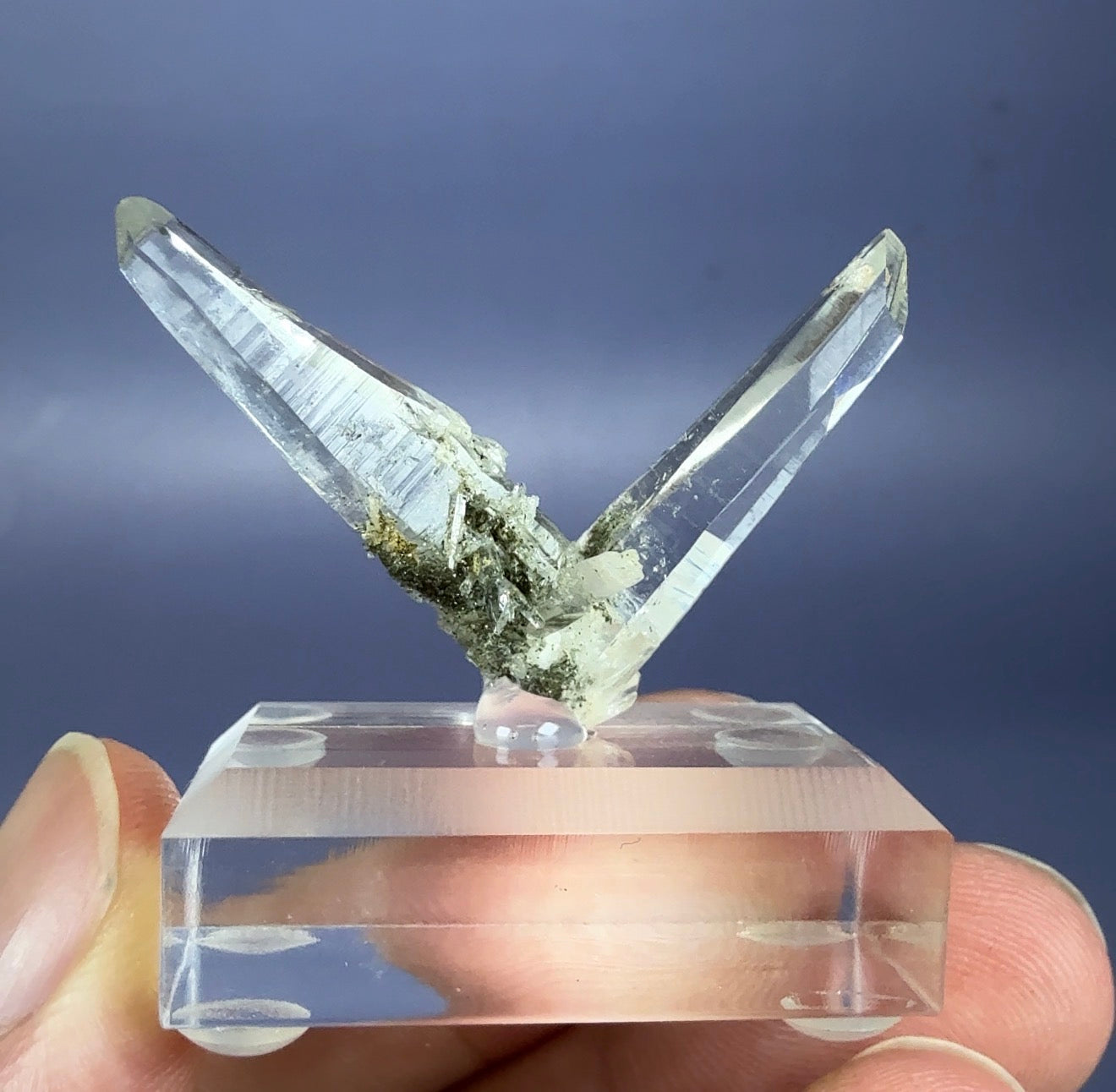 Himayayan Quartz (Tessin habit + tabular)