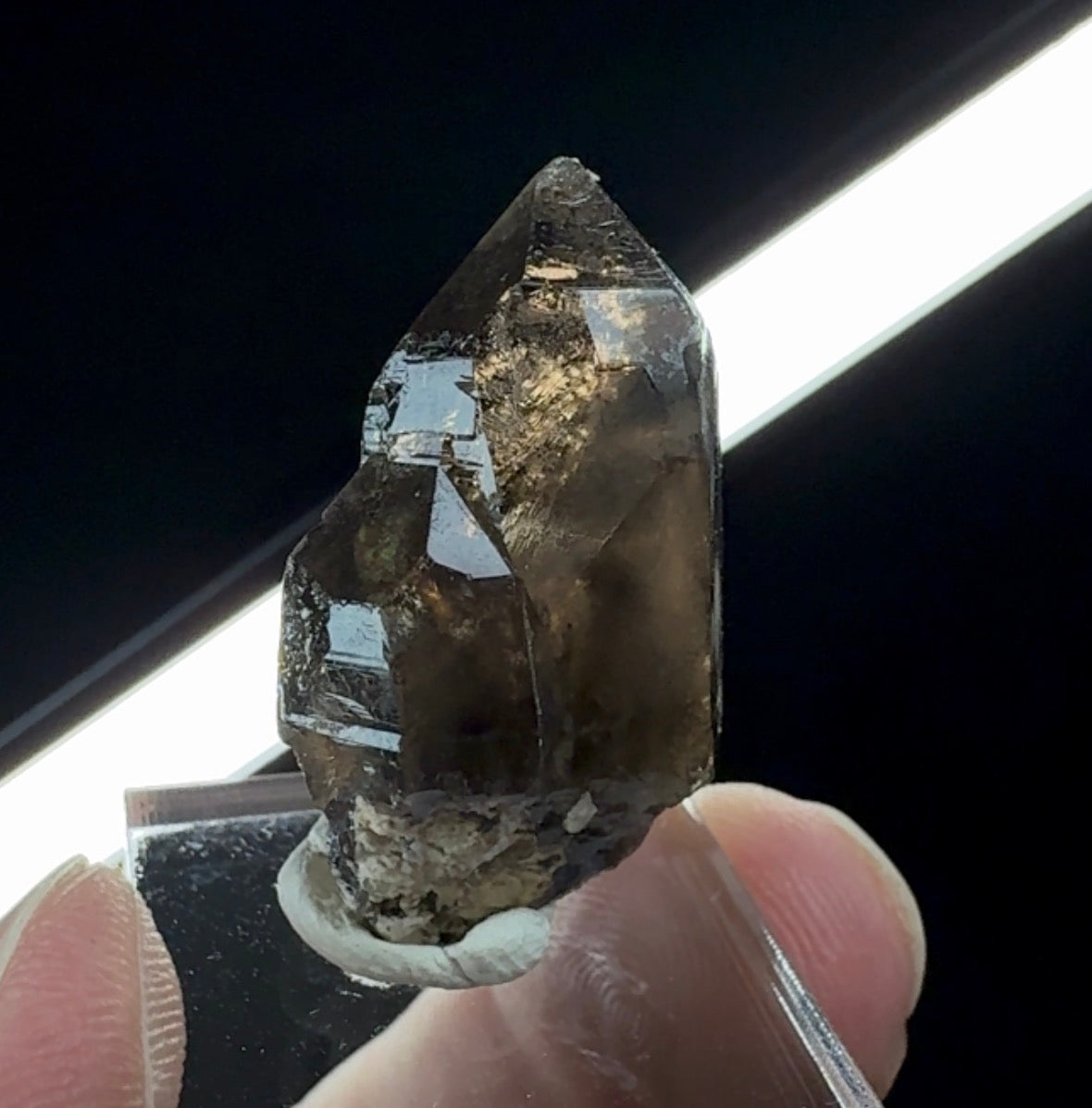 Auction Win: Quartz var. Smoky Quartz