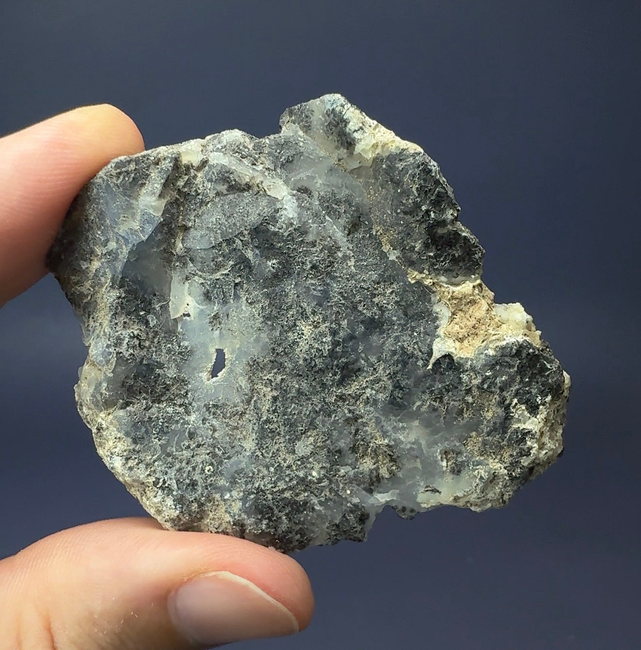 Auction Win: Dendritic Chalcedony Nodule