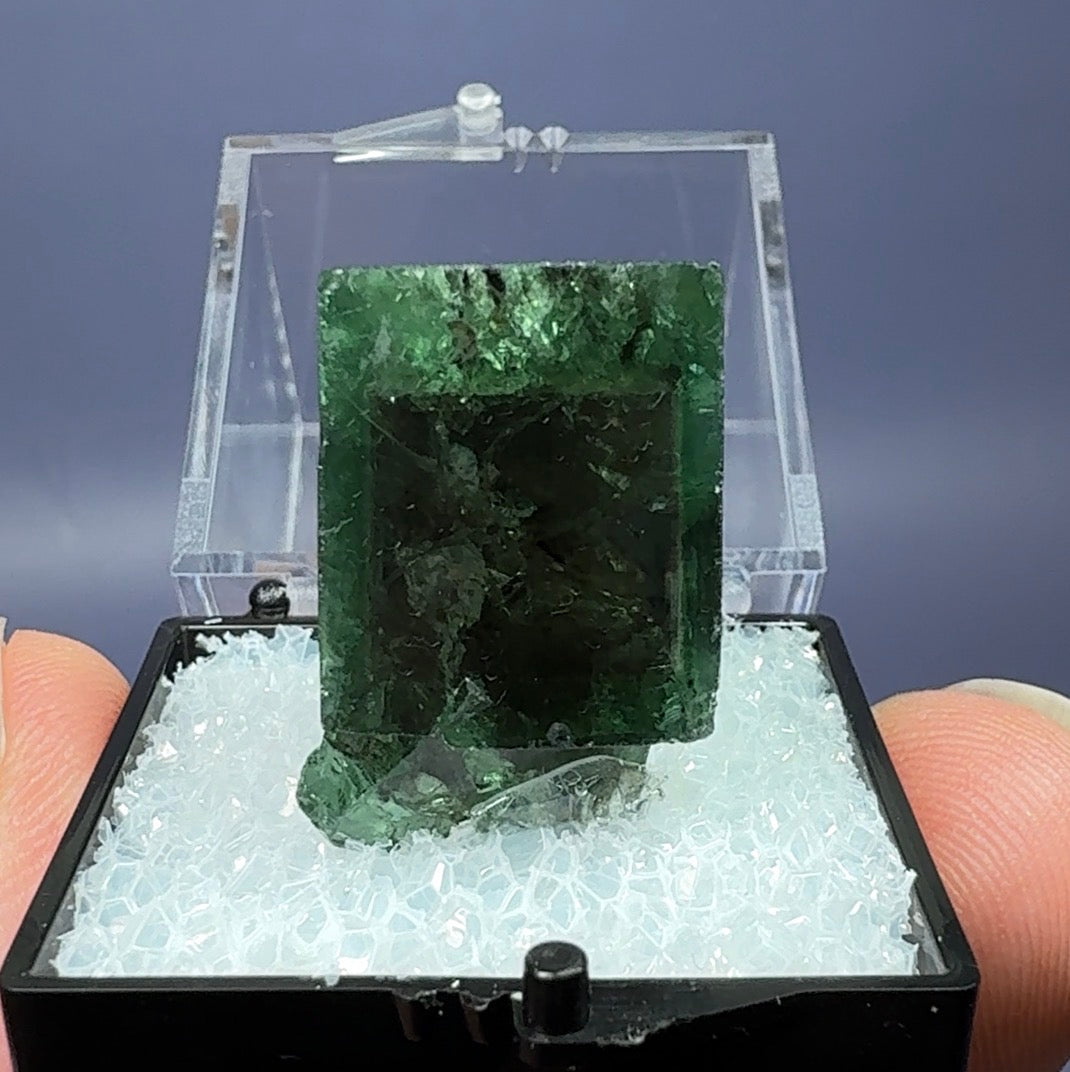Auction Win: Northern Lights Pocket Fluorite (Well-zoned and Daylight Fluorescent)