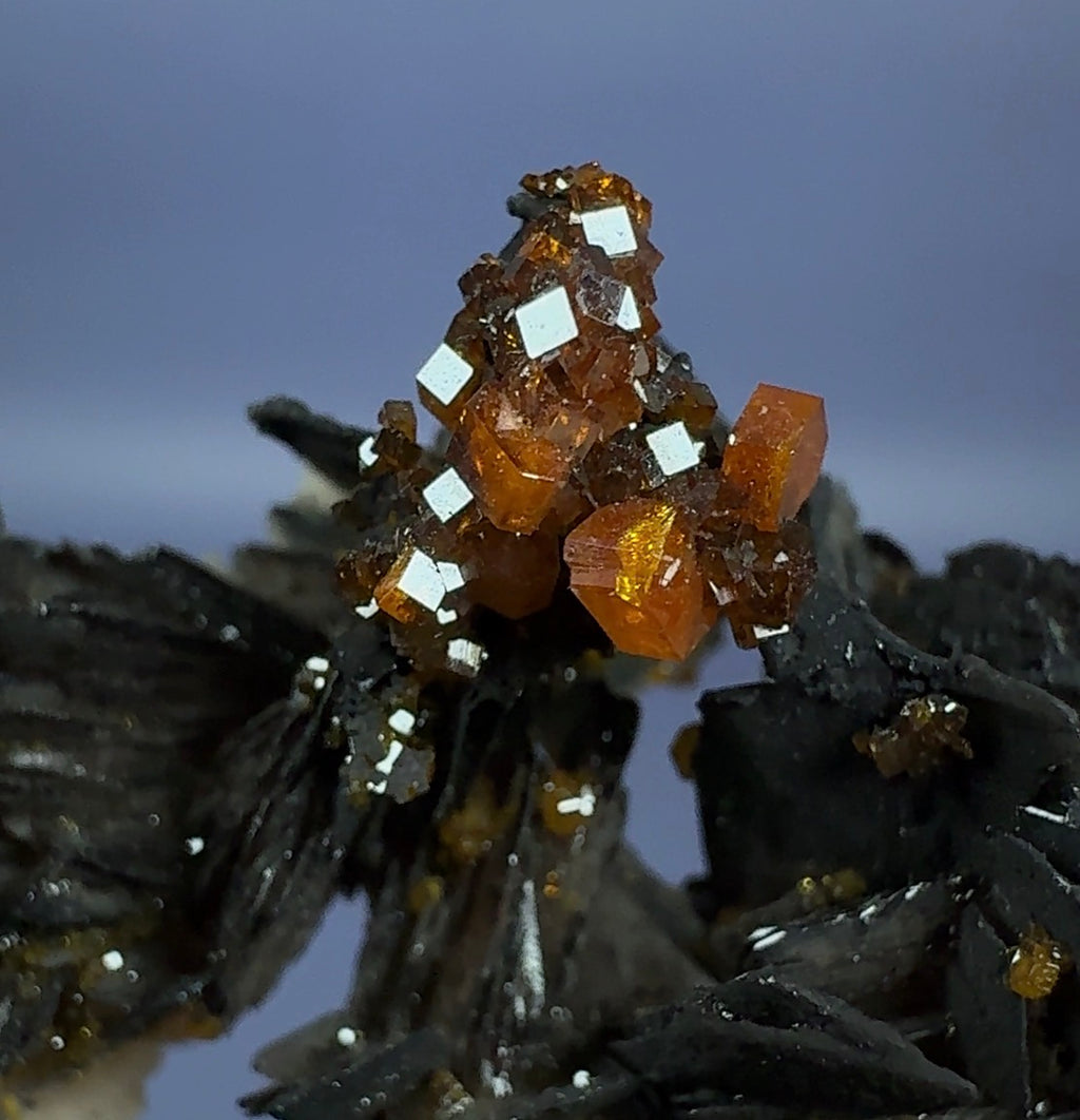Auction Win: ‘Black Rose’ Vanadinite on Goethite on Baryte