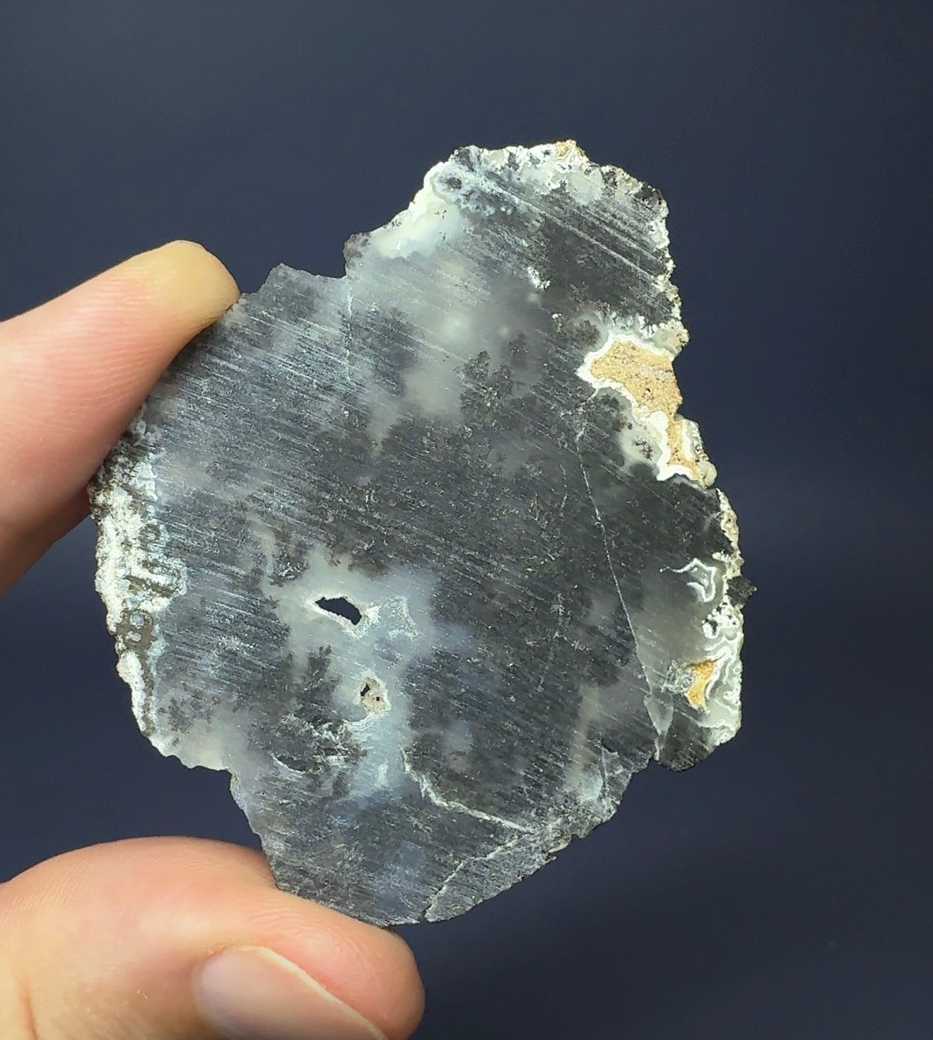 Auction Win: Dendritic Chalcedony Nodule