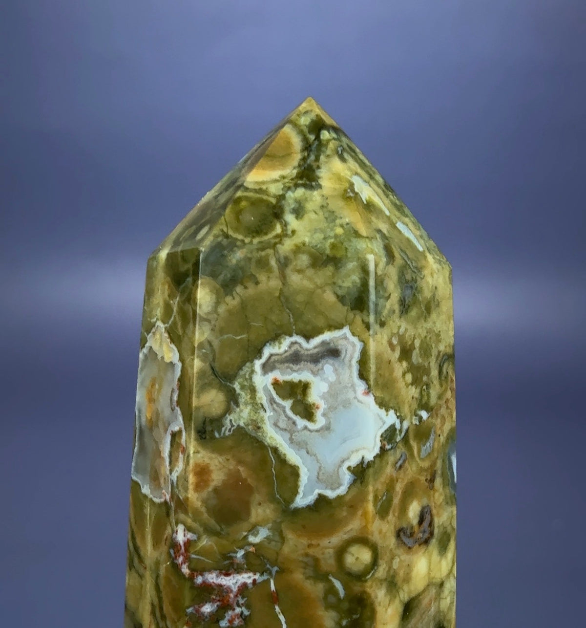 Auction Win: Australian Rhyolite “Rainforest Jasper”