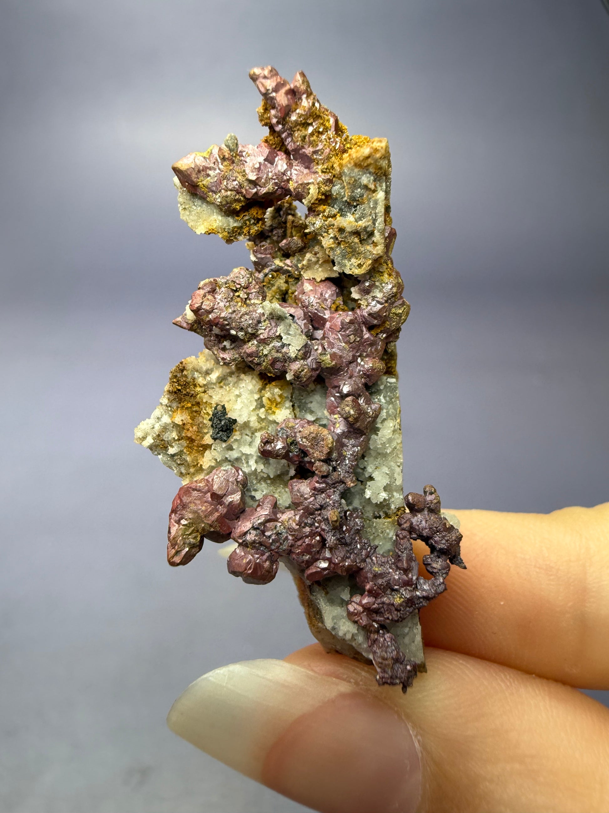 Auction Win: Copper
