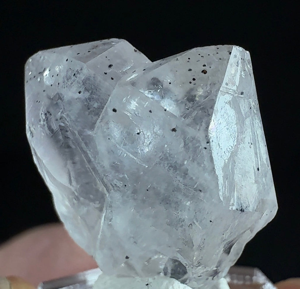 Auction Win: Quartz “Japan Law” Twin