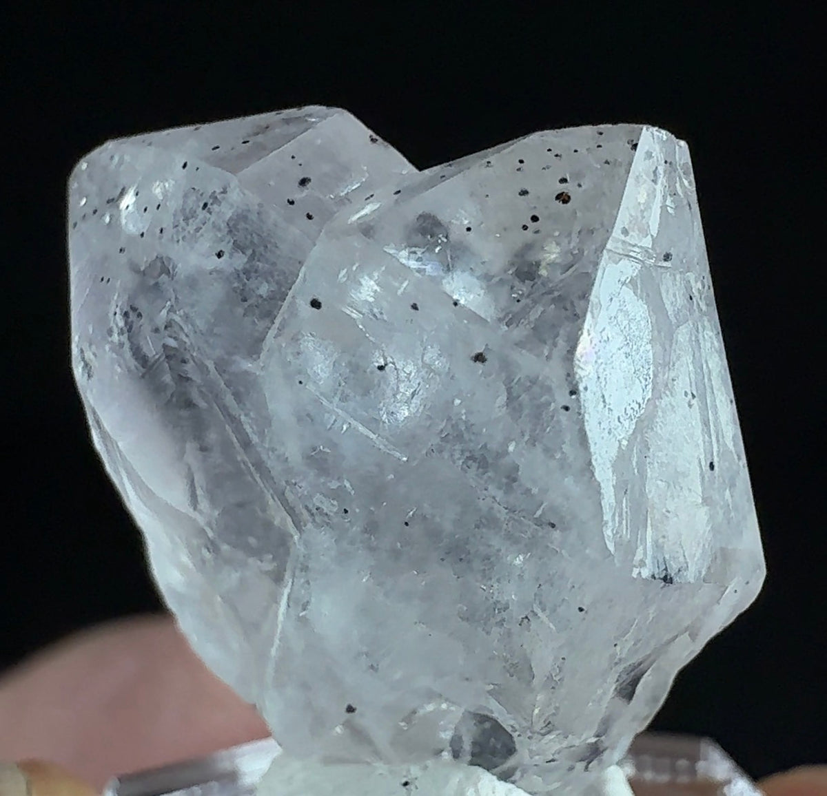 Auction Win: Quartz “Japan Law” Twin