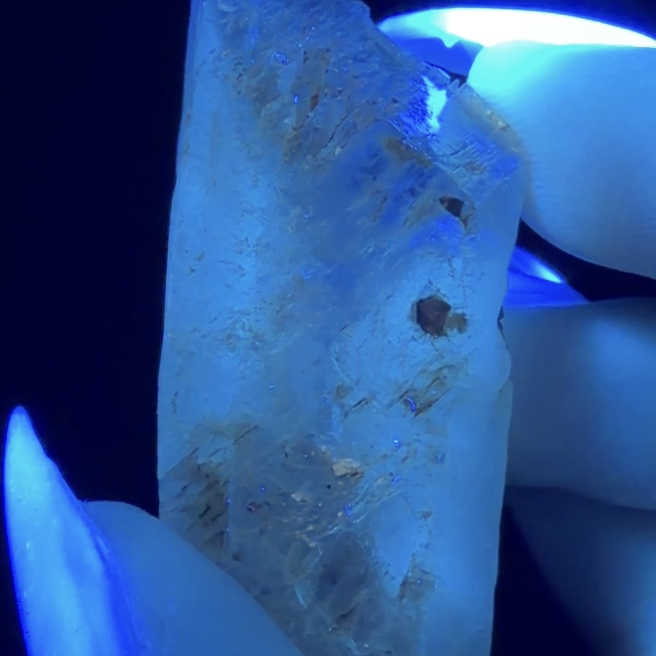 Auction Win: ‘Hourglass’ Selenite (Phosphorescent)