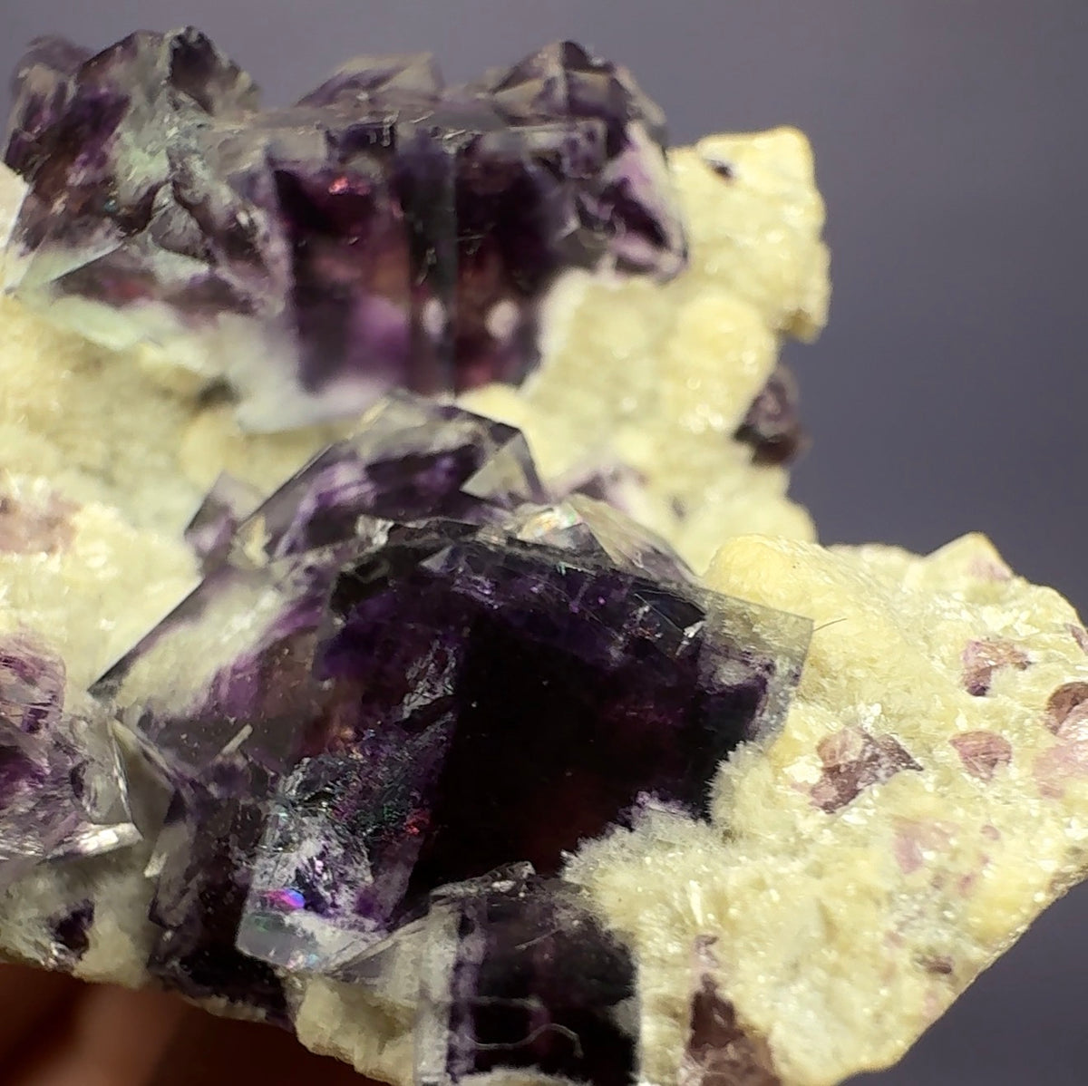 Auction Win: Fluorite with Muscovite (colorful zoning!)