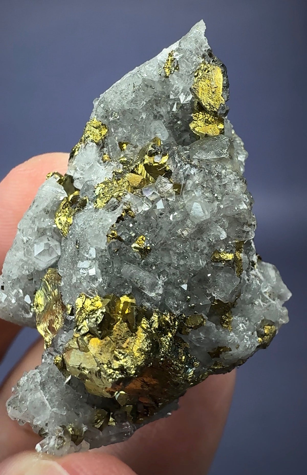 Auction Win: Chalcopyrite and Dolomite with Quartz