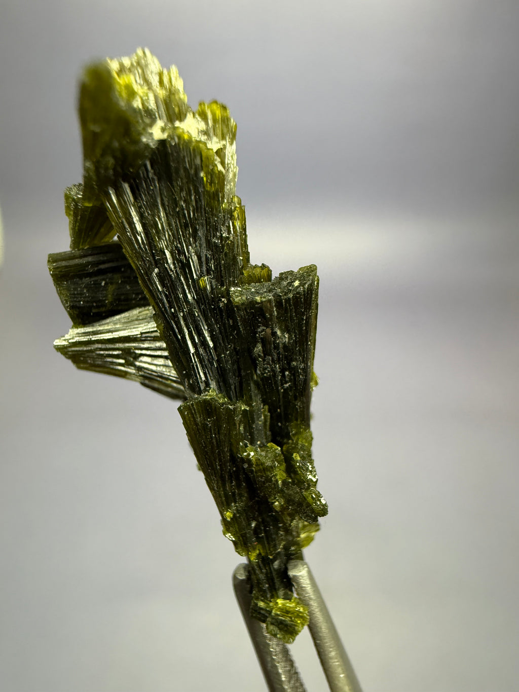Auction Win: Epidote
