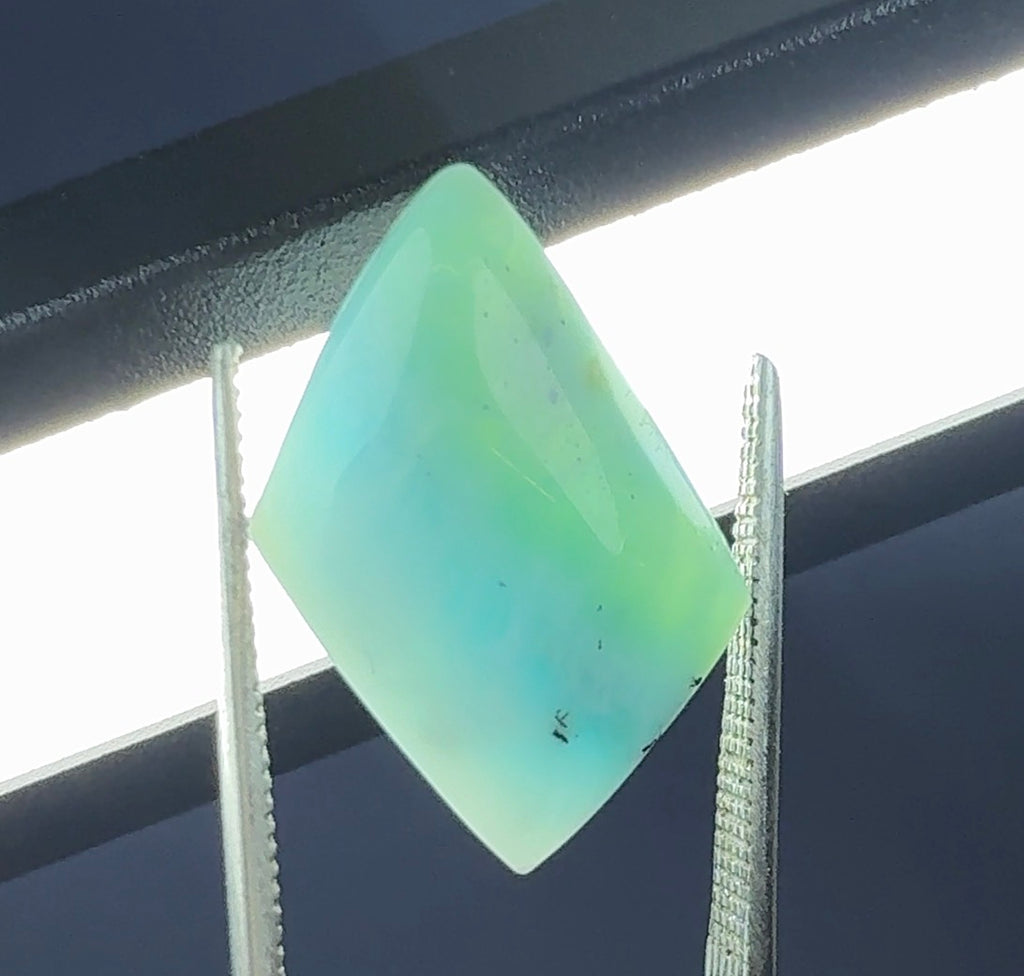 Auction Win: Larimar