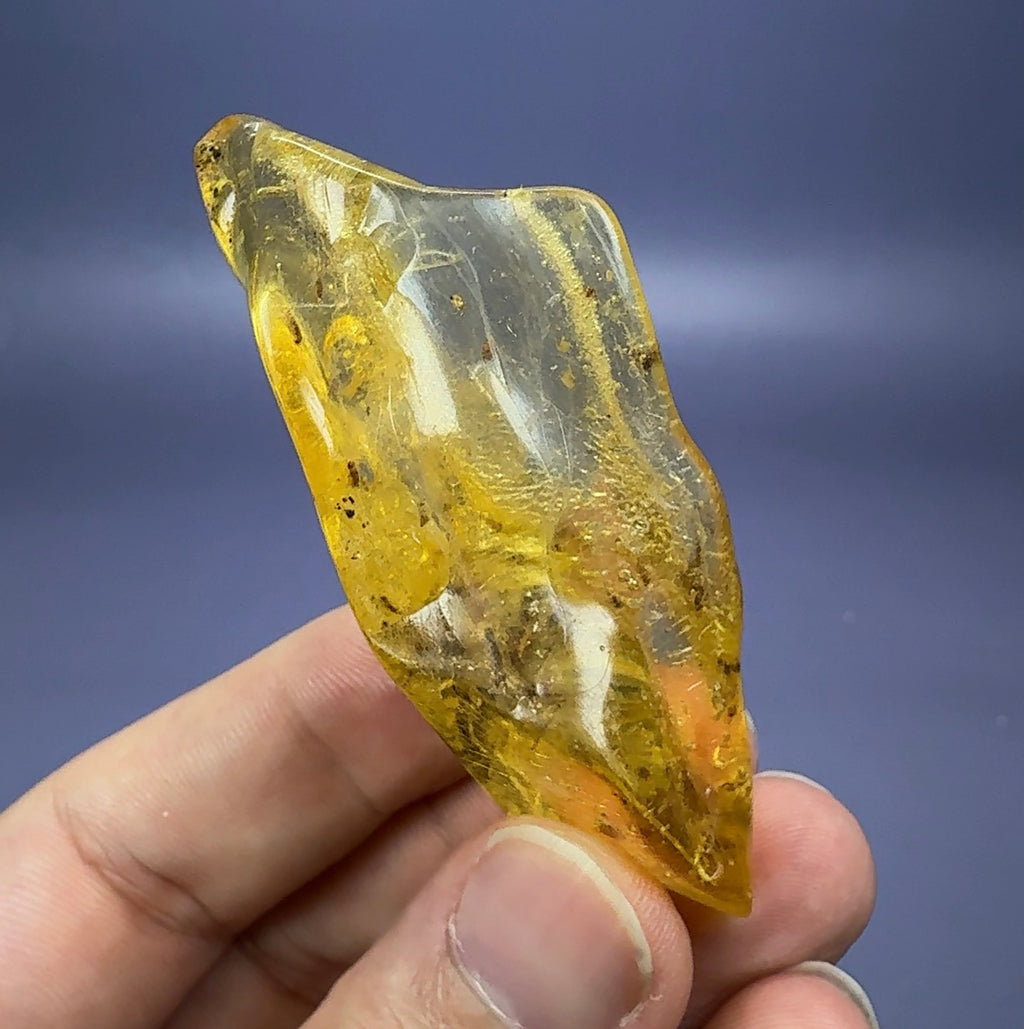Auction Win: Copal Amber (28 insects inside!)