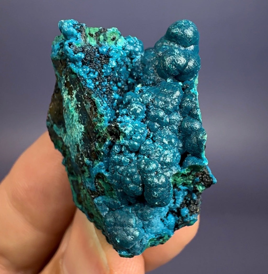 Auction Win: Chrysocolla (Botryoidal)