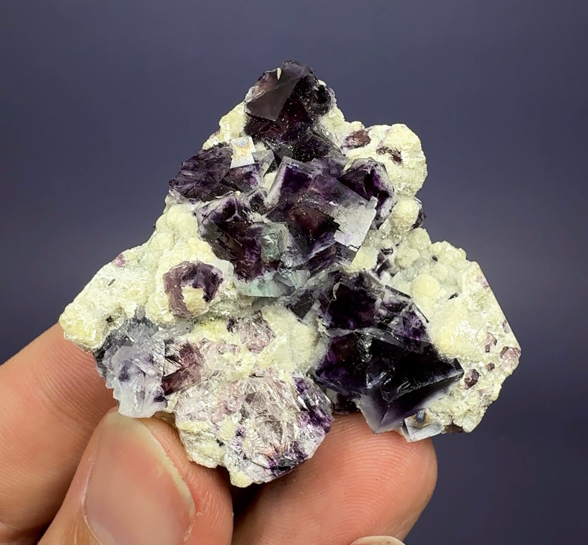 Auction Win: Fluorite with Muscovite (colorful zoning!)