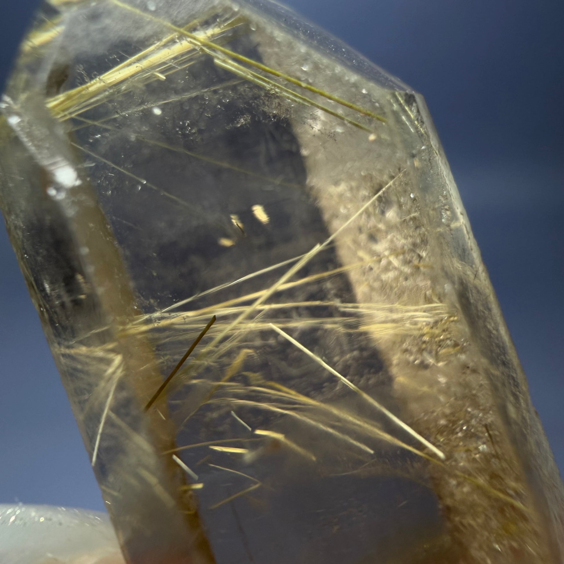 Auction Win: Rutilated Smoky Quartz (Double Terminated)