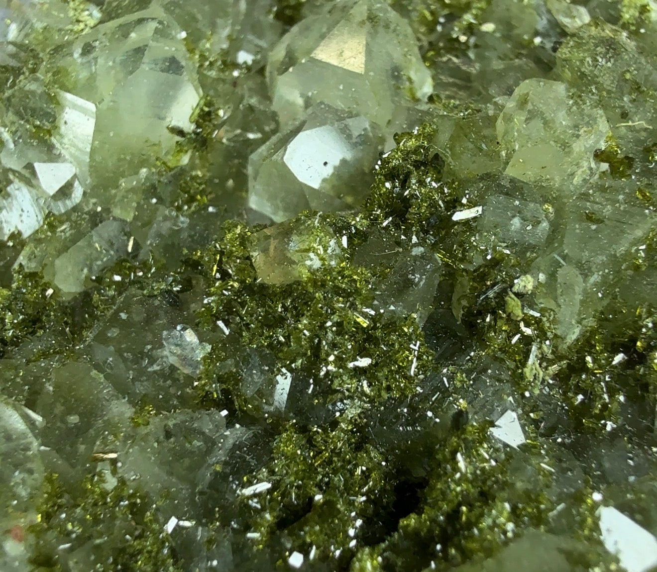 ‘Forest’ Epidote with Quartz