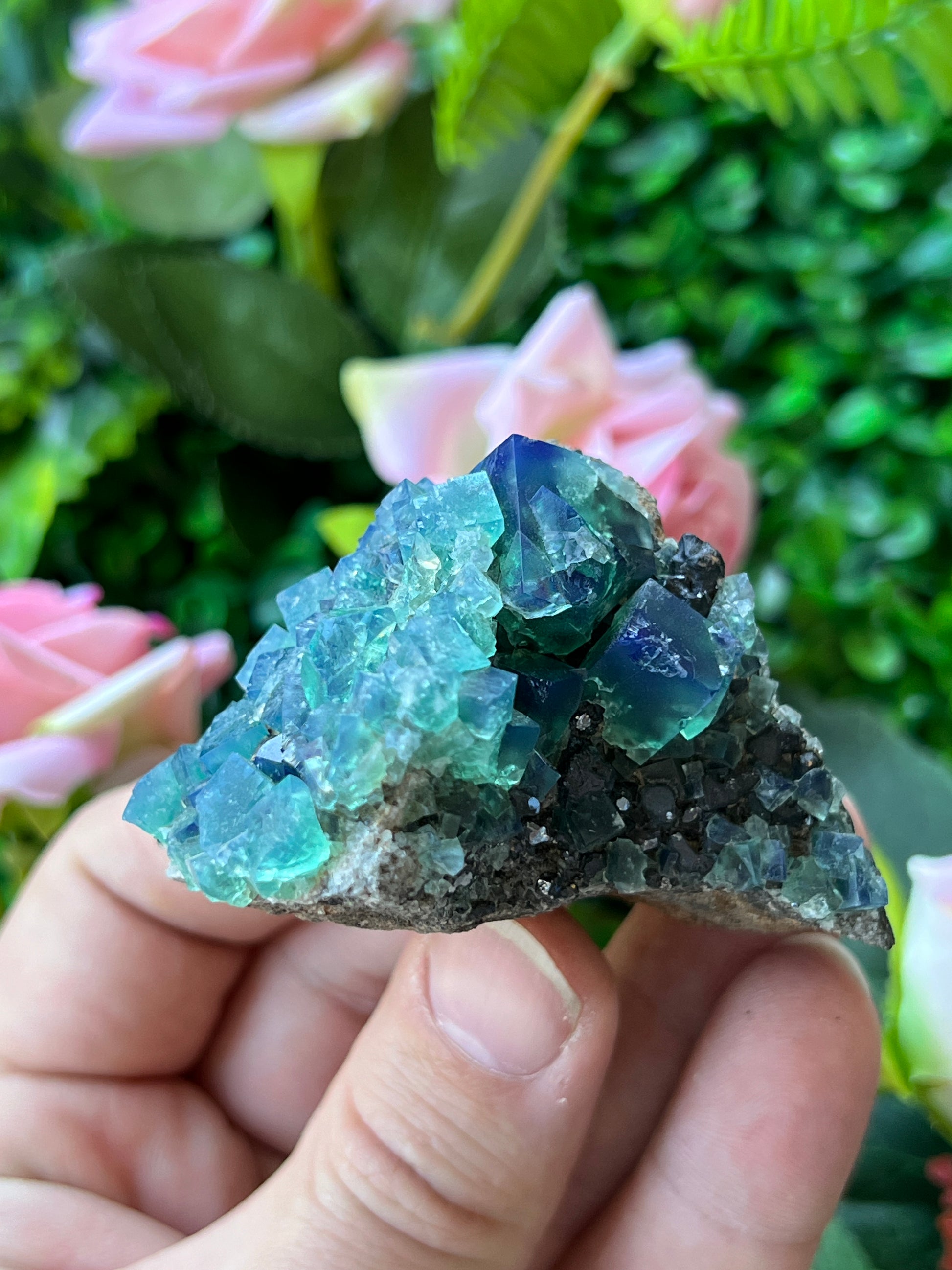 Fluorite (Color Change) w/ Galena