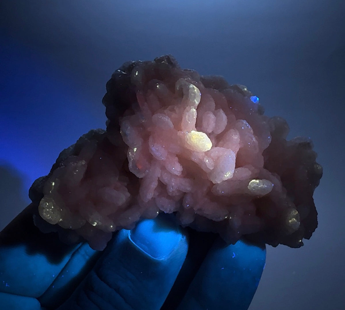Auction Win: Calcite on Calcite (two habits & fluorescent!)