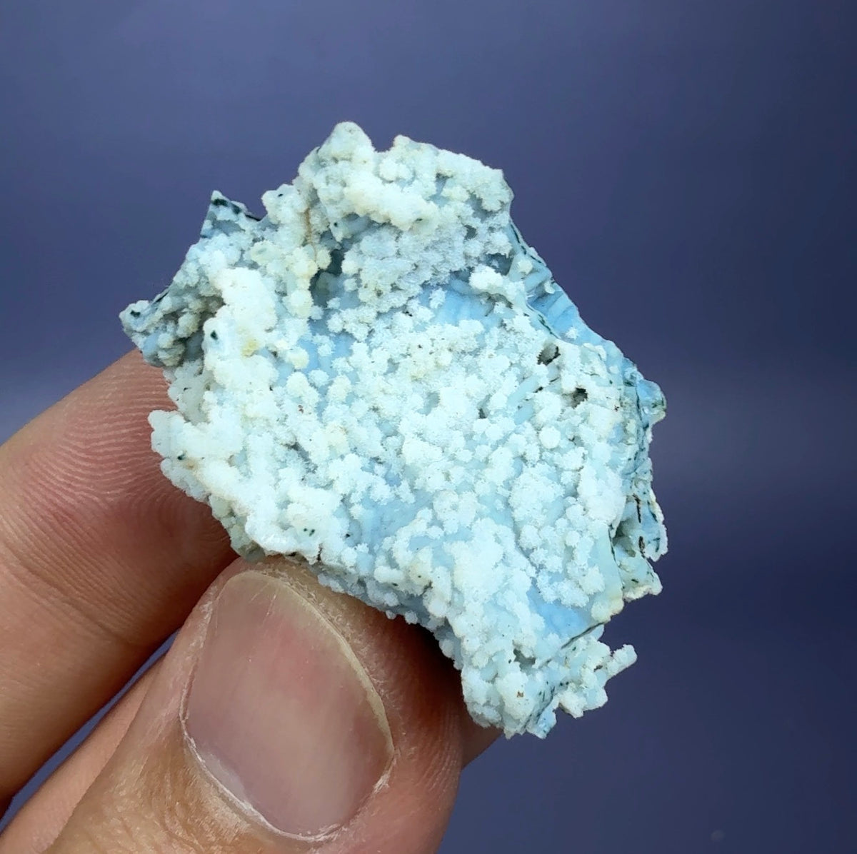Auction Win: ‘Blue’ Chalcedony