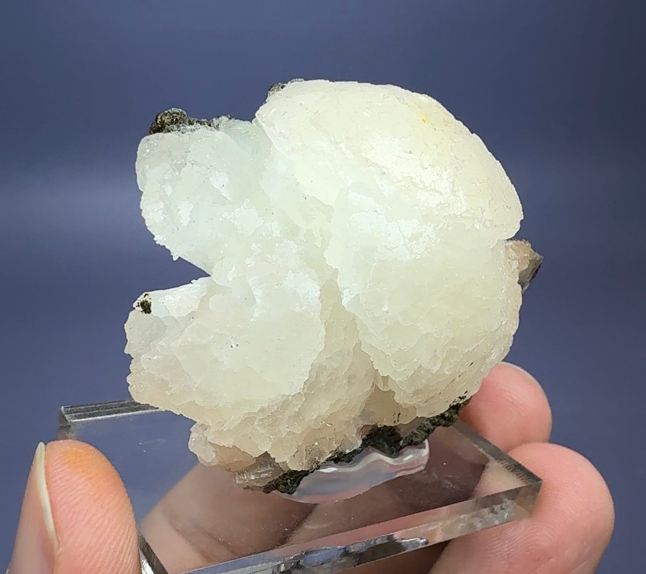 Auction Win: Stellerite (botryoidal)