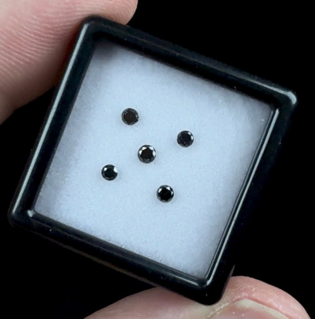 Auction Win: Black Diamonds .21cttw