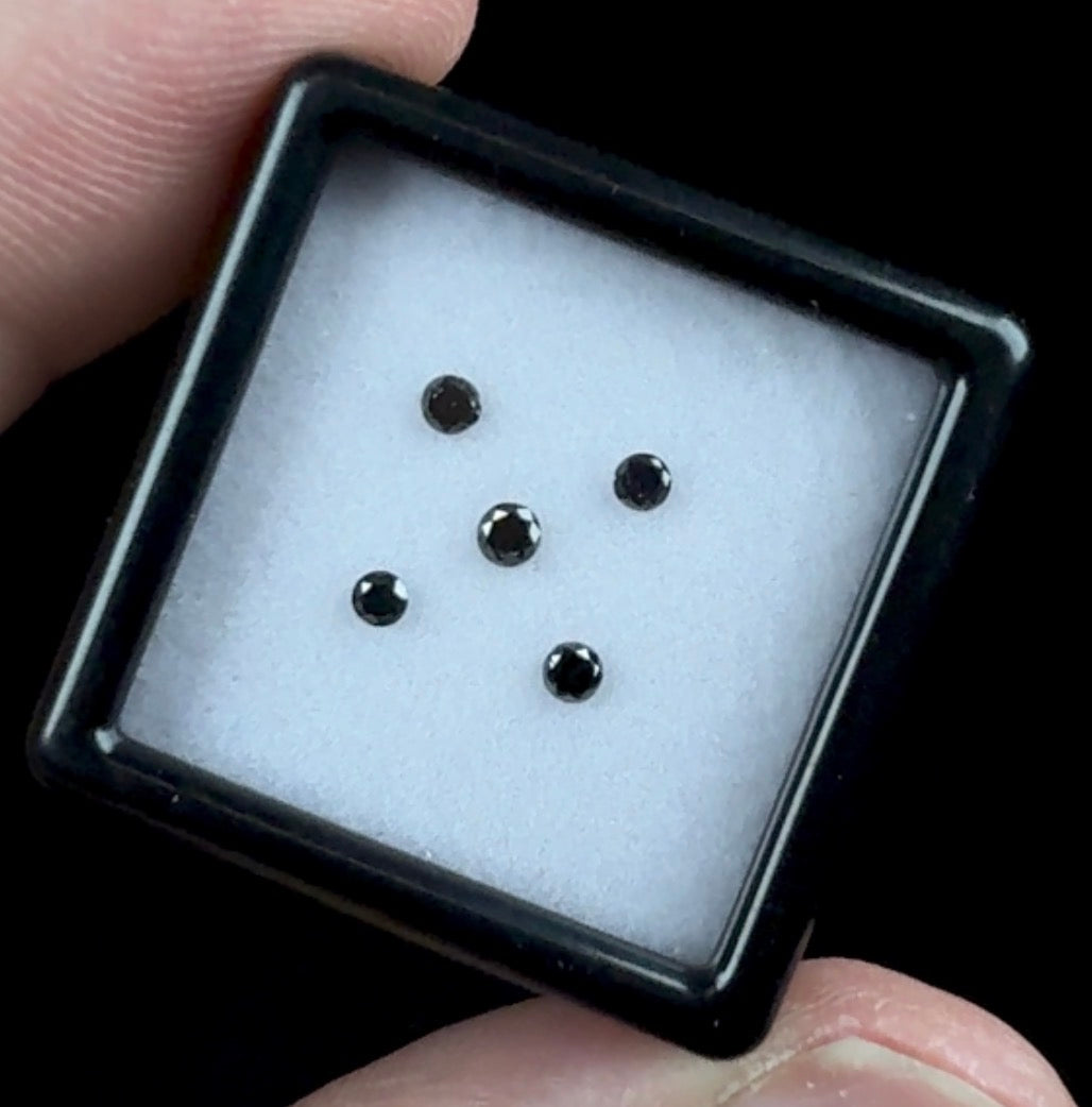 Auction Win: Black Diamonds .21cttw