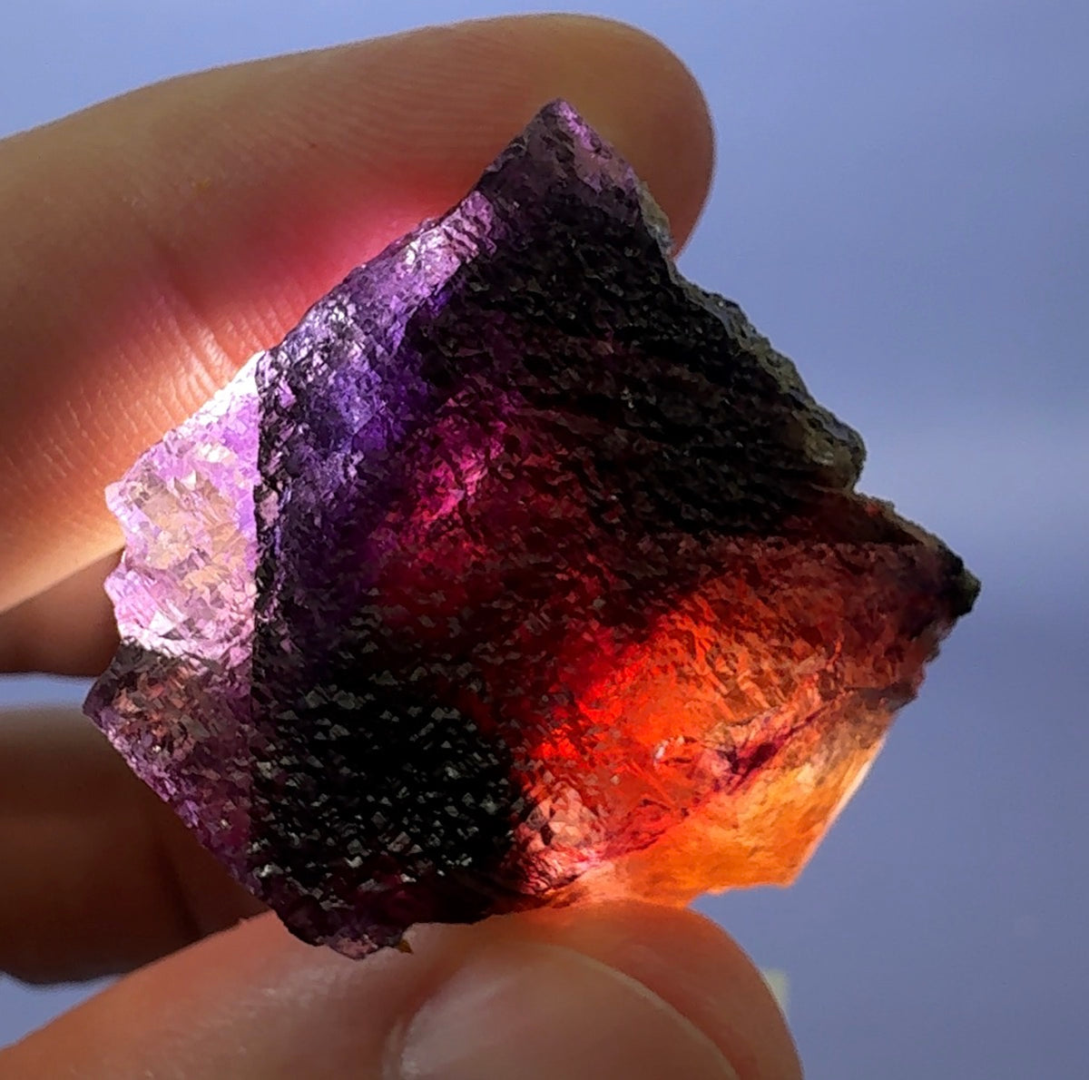 Auction Win: Fluorite with Chalcopyrite and Muscovite
