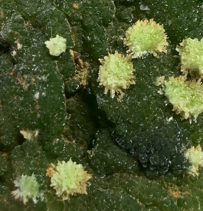 Auction Win: Duftite and Mimetite (New Find!)