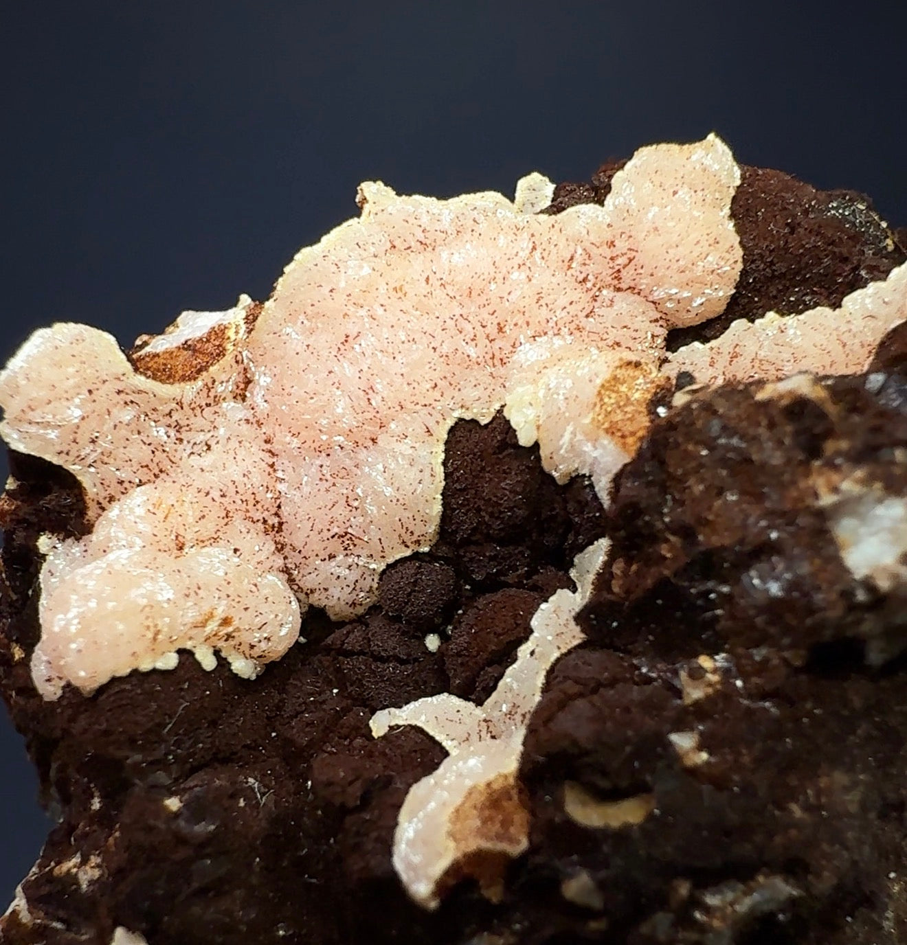 Auction Win: Rhodochrosite