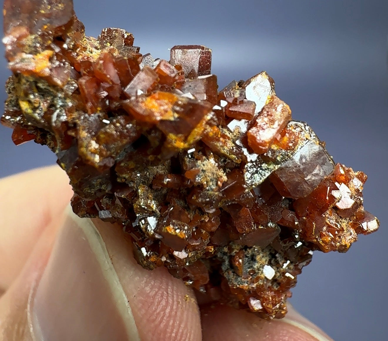 Auction Win: Wulfenite (deep red color)