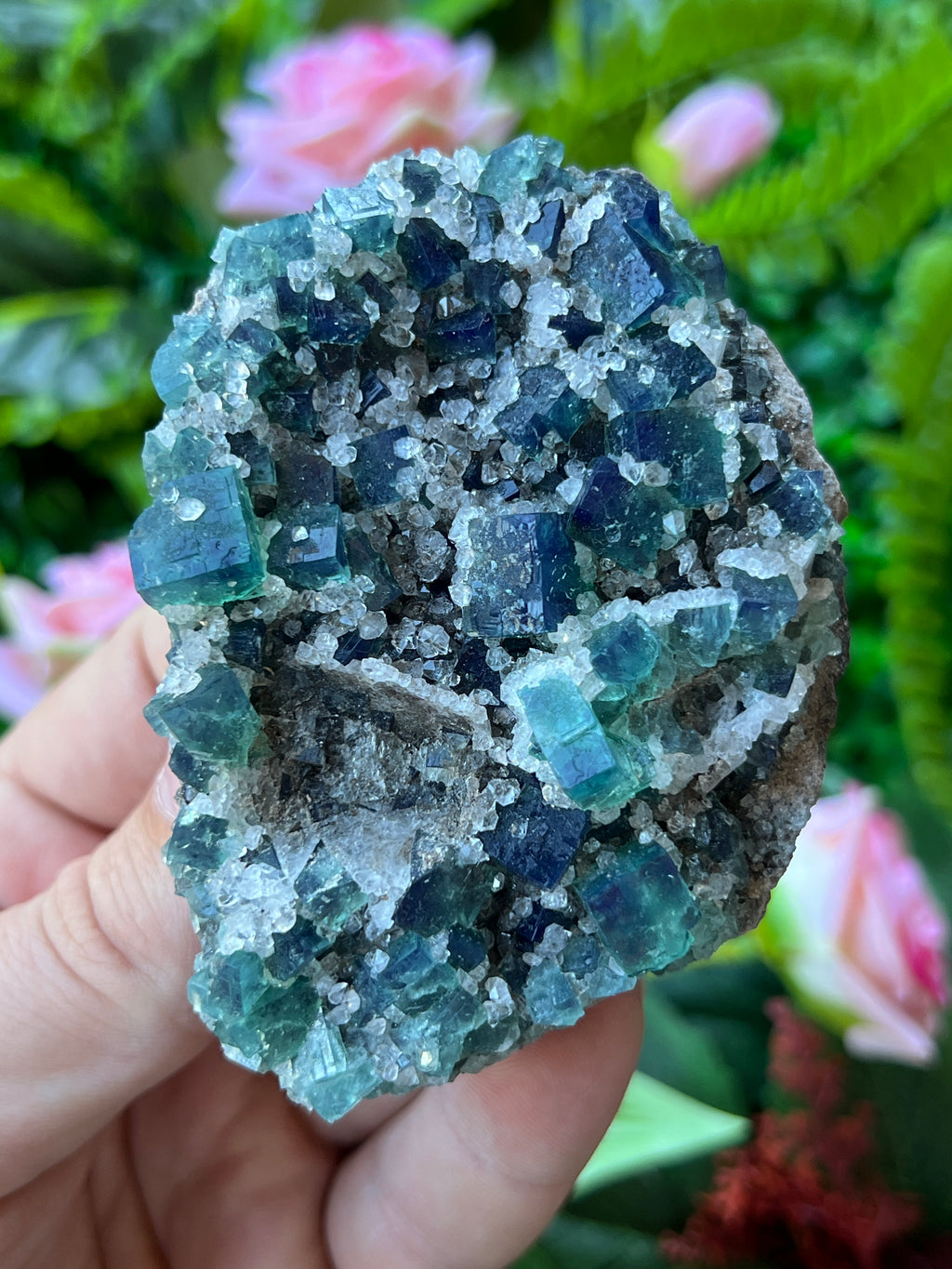 Fluorite (Color Change) w/ Quartz - Druzy Dreams Pocket