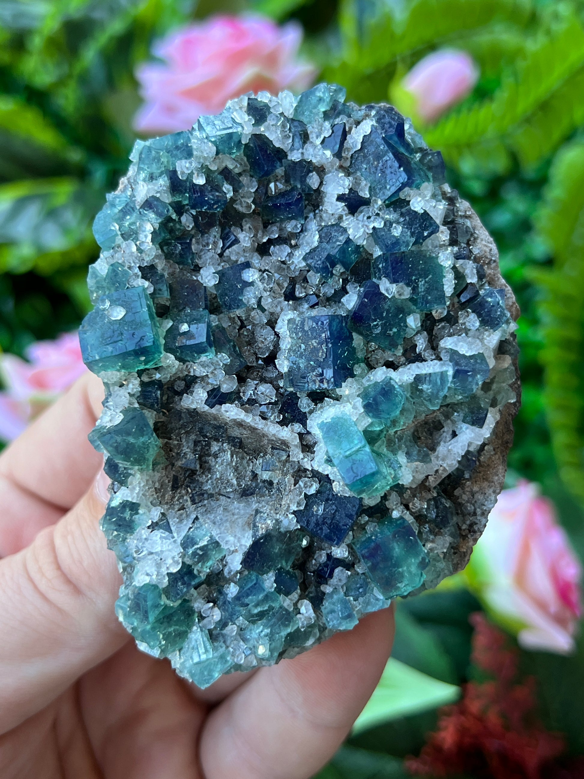 Fluorite (Color Change) w/ Quartz - Druzy Dreams Pocket