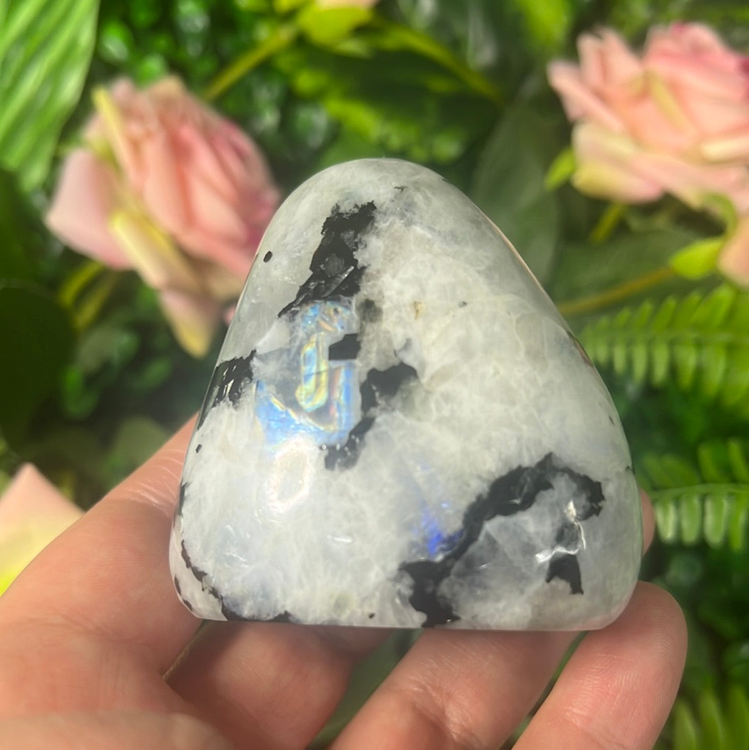 Rainbow Moonstone Freeform