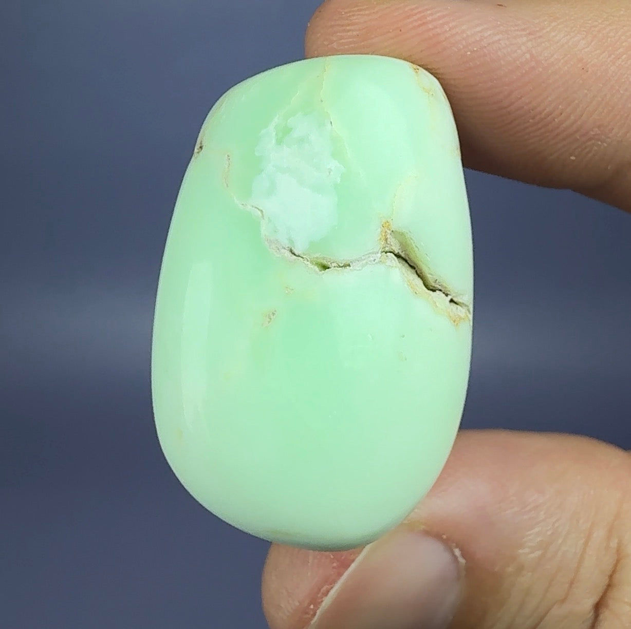 Auction Win: Opalized Chrysoprase