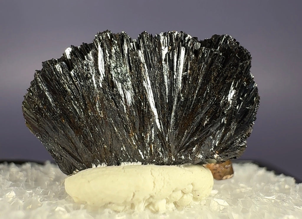 Auction Win: Goethite with Smoky Quartz